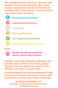 Virtual SEL and Mindfulness Cards and Teaching Guide Bundle